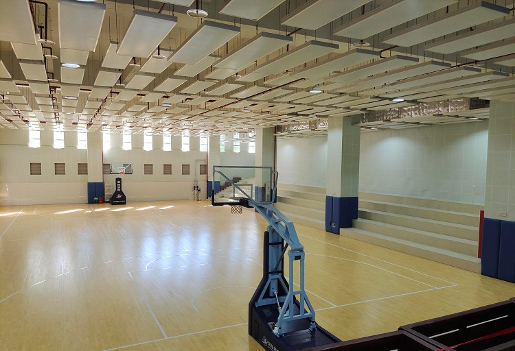 mmexport1621215299744(1)